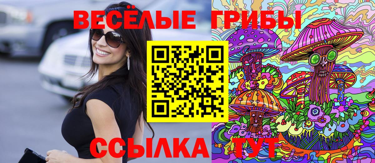 Галлюциногенные грибы Cubensis  Галлюциногенные грибы прущие грибы  Новокубанск  Вход с VPN 